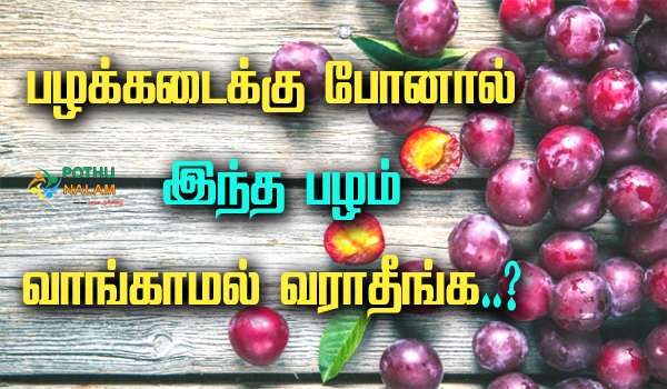 Plum Fruit Benefits in Tamil