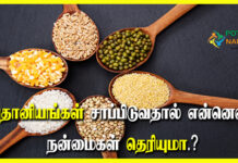 Siruthaniyam Health Benefits in Tamil