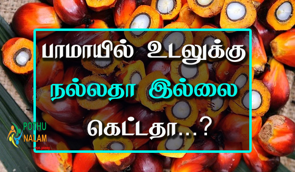 Palm Oil in Tamil