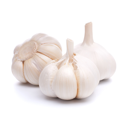 Garlic side efferts 