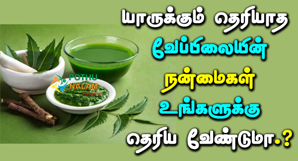 neem benefits in tamil