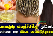 Egg Hair Care Tips in Tamil