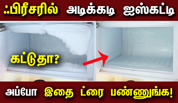 Fridge Freezer Cleaning Tips in Tamil