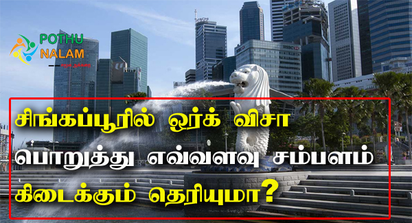 Work Visa Types and Salary in Tamil
