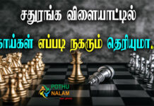 chess rules in tamil