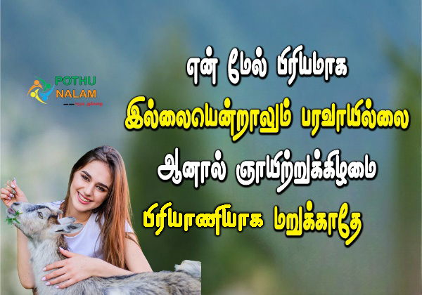 funny food quotes in tamil_magic