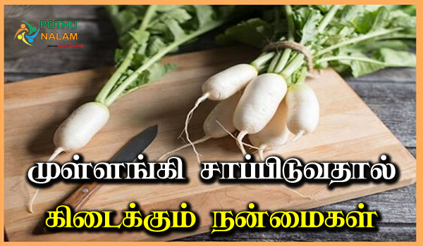 mullangi benefits in tamil