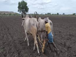  one cent farming agriculture in tamil