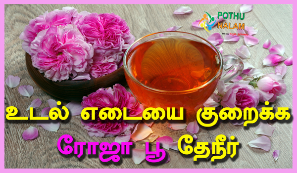 rose tea for weight loss in tamil