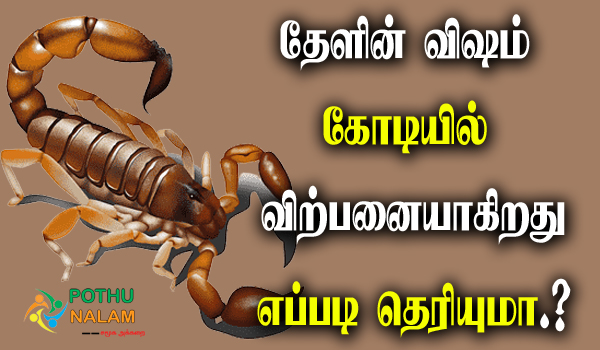 scorpion poison price in tamil