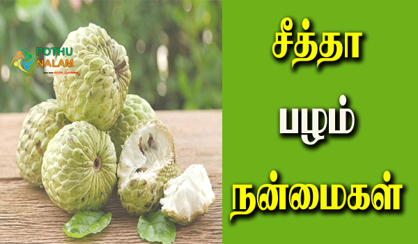 seetha palam benefits in tamil