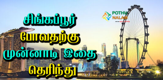 singapore s pass in tamil