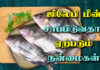 tilapia fish in tamil