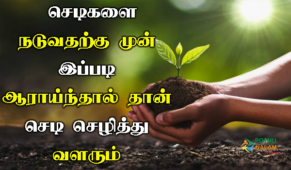 tips for planting trees in tamil