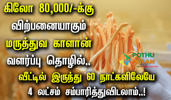 Cordyceps Militaris Mushroom Business in Tamil 