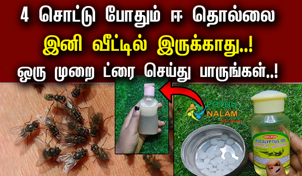 E Thollai Neenga Tamil Tips