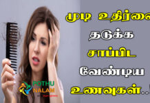 Foods To Control Hair Fall in Tamil