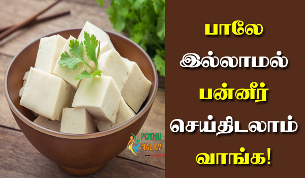 How to Make Paneer Without Milk at Home in Tamil
