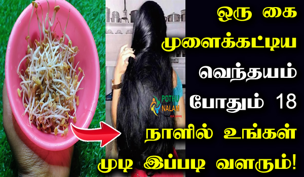 Katralai Hair Oil in Tamil