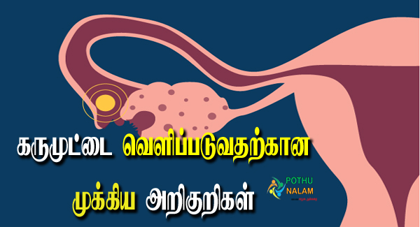 Ovulation Symptoms in Tamil Language