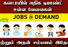 Top 10 Demand Jobs in Canada in Tamil