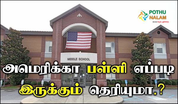 american school system in tamil