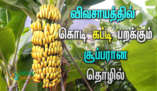 banana cultivation in tamil