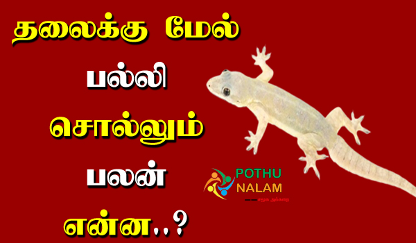 benefit of the lizard sound in tamil