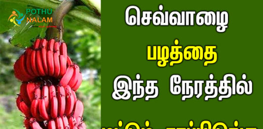 benefits of red banana daily in tamil