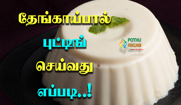 coconut pudding recipe in tamil