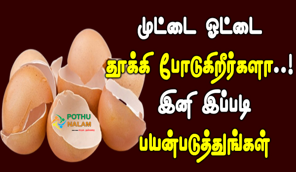 eggshell benefits in tamil