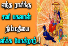 good sani peyarchi zodiac sign in tamil