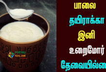 how to prepare curd in tamil