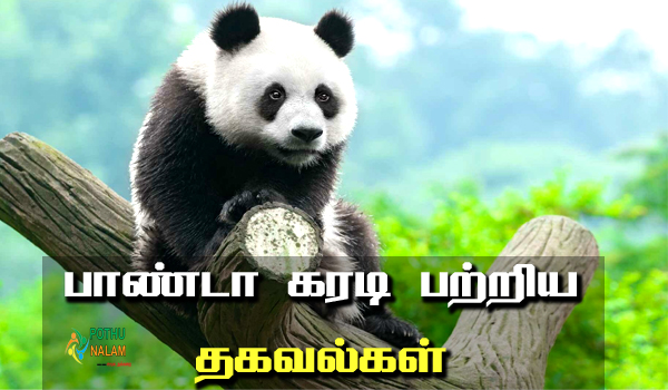 information about panda in tamil