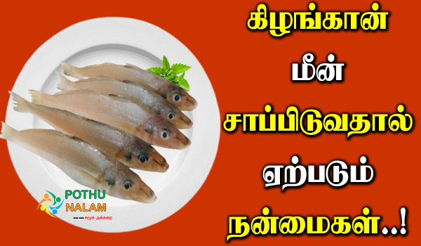 Kilangan Fish in Tamil