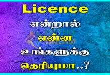 licence meaning in tamil