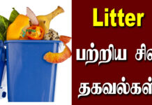 litter meaning in tamil