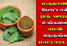 maruthani leaf benefits in tamil