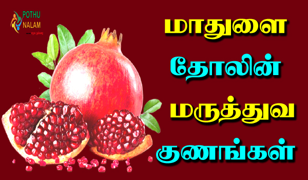 mathulai thol benefits in tamil
