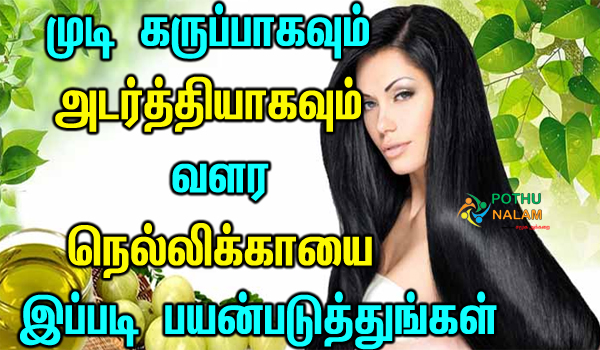 natural hair pack for hair growth in tamil