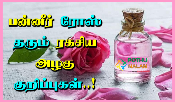 Paneer Rose Beauty Tips in Tamil
