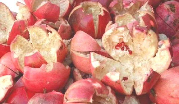  pomegranate peel benefits in tamil