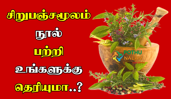 Sirupanjamoolam Nool in Tamil
