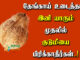 thengai sasthiram in tamil