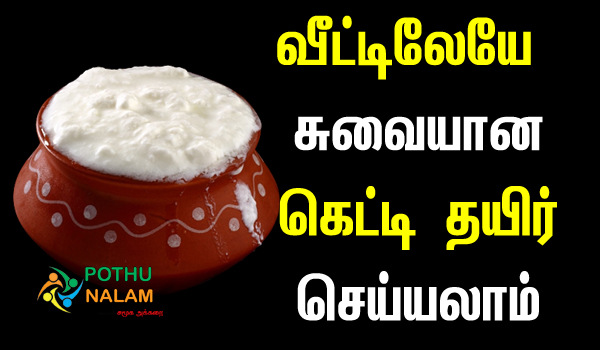 thick curd at home in tamil