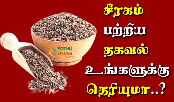Cumin Seeds in Tamil