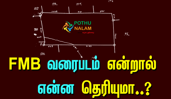 Field Measurement Book Meaning in Tamil