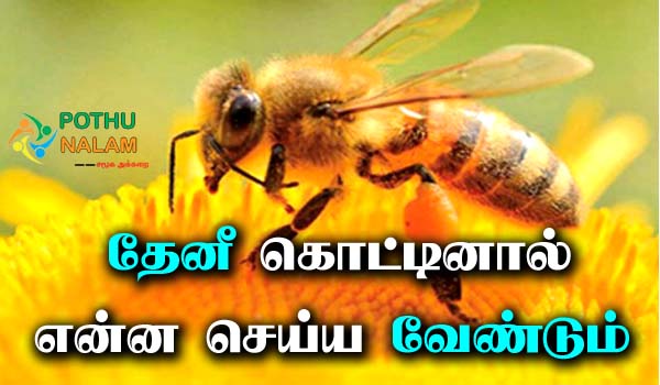 Honey Bee Bite Treatment in Tamil