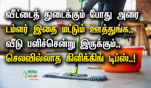 House Cleaning Tips in Tamil