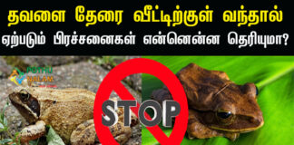 How to Get Rid of Frogs Home Remedies in Tamil 